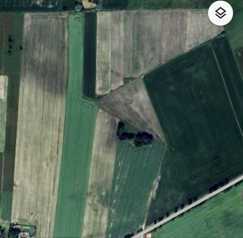 Działka rolna Siekluki. Zdjęcie 1