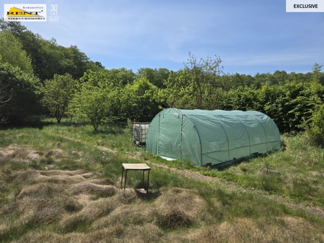 dom wolnostojący, 6 pokoi Szczecin Płonia, ul. Dobropole. Zdjęcie 34