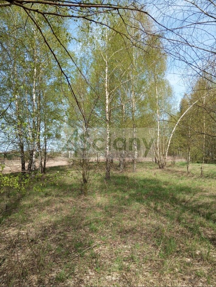 Działka budowlana Jasienica. Zdjęcie 14