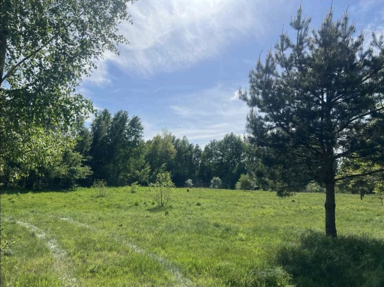 Działka budowlana Żelechów, ul. Letnia. Zdjęcie 5