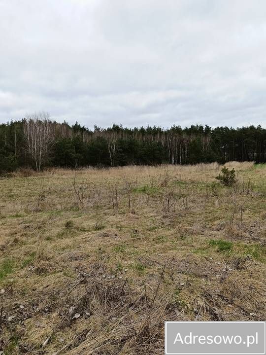 Działka Łowinia. Zdjęcie 12