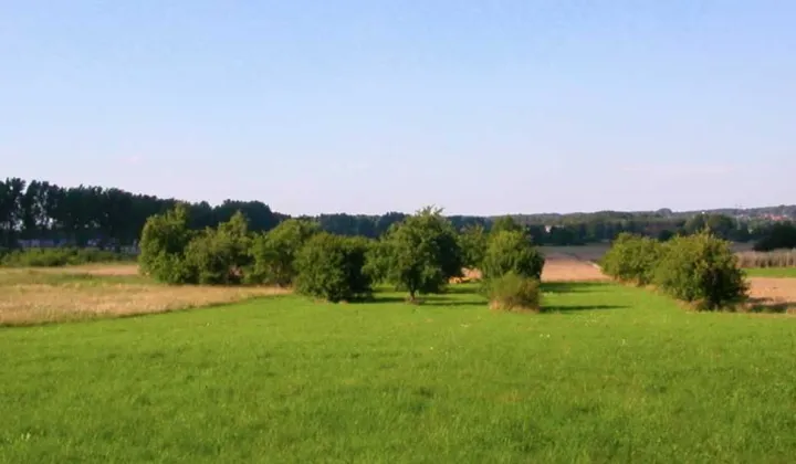 Działka rolno-budowlana Koźla