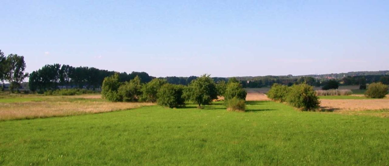 Działka rolno-budowlana Koźla. Zdjęcie 1