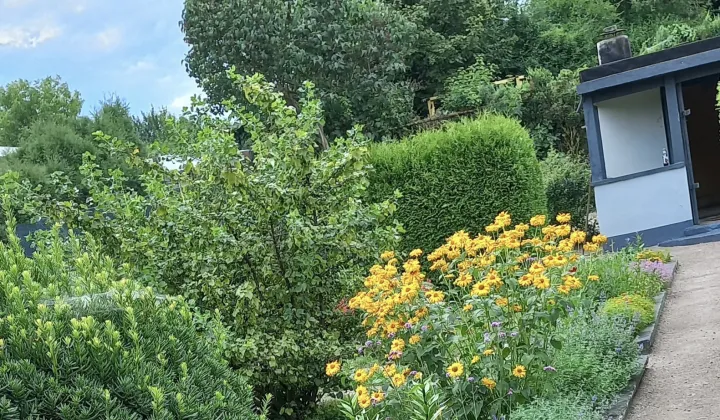 Działka rod Siemianowice Śląskie Centrum, ul. Pawła Śmiłowskiego