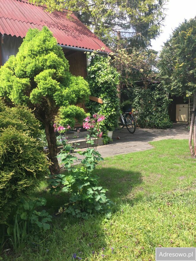 Działka rod Warszawa Mokotów, ul. Piaseczyńska. Zdjęcie 6