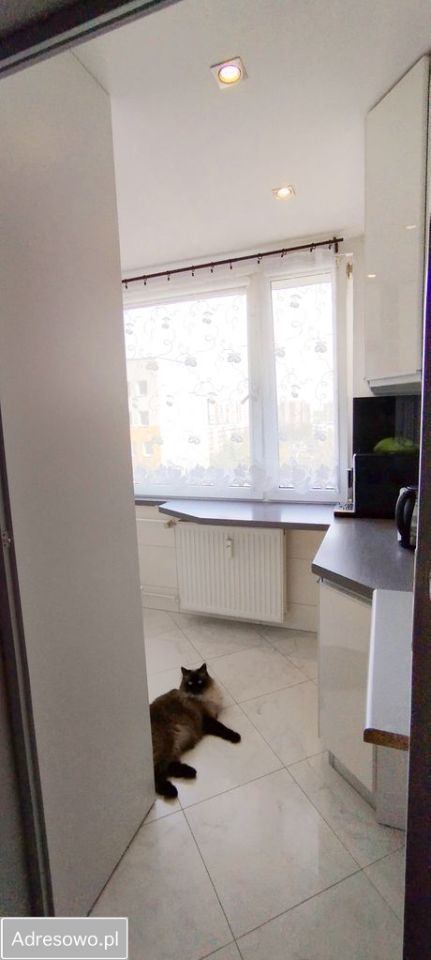 Mieszkanie 3-pokojowe Częstochowa Północ, ul. Bacewicz. Zdjęcie 5