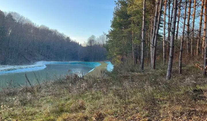 Działka Borówna