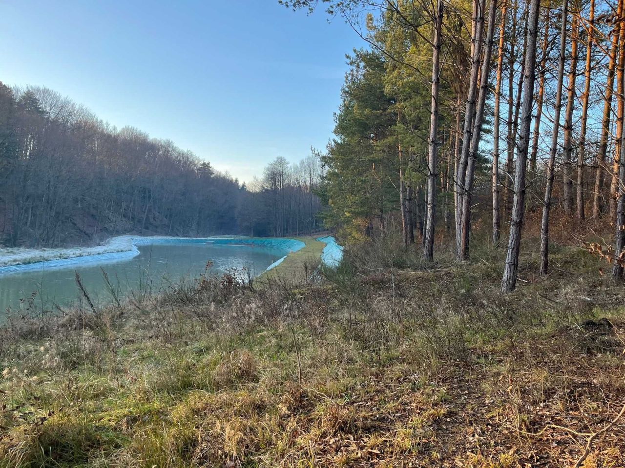 Działka Borówna. Zdjęcie 1