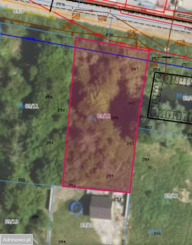 Działka budowlana Sadowie Jacentów. Zdjęcie 1