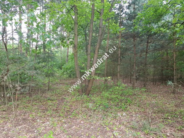 Działka budowlana Musuły. Zdjęcie 5