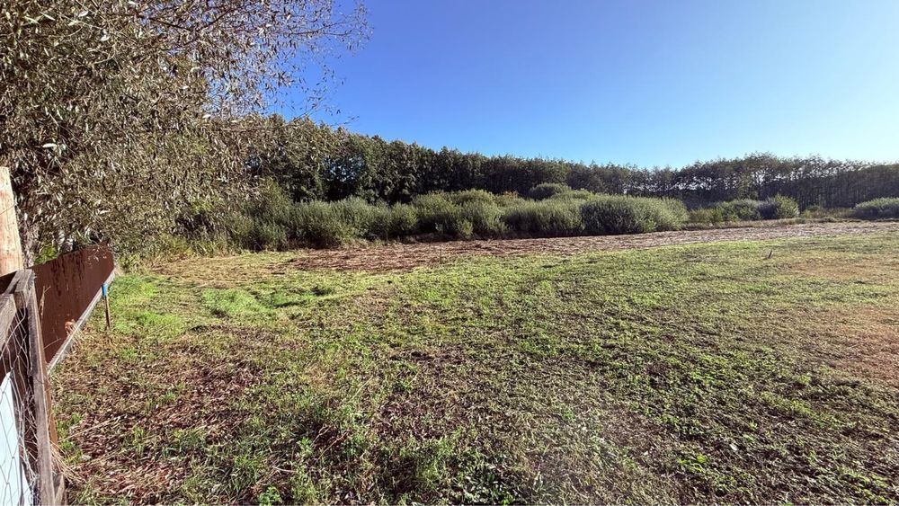 Działka budowlana Boszkowo. Zdjęcie 6