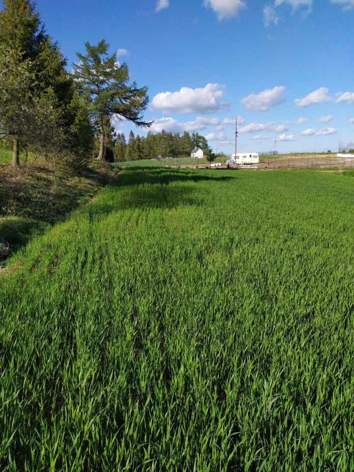 Działka rekreacyjna Połęczyno, ul. Żołnierzy Niezłomnych. Zdjęcie 6