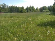 Działka budowlana Teodorów. Zdjęcie 1