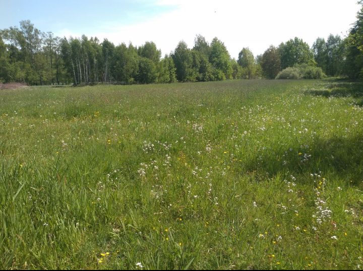 Działka budowlana Teodorów. Zdjęcie 2