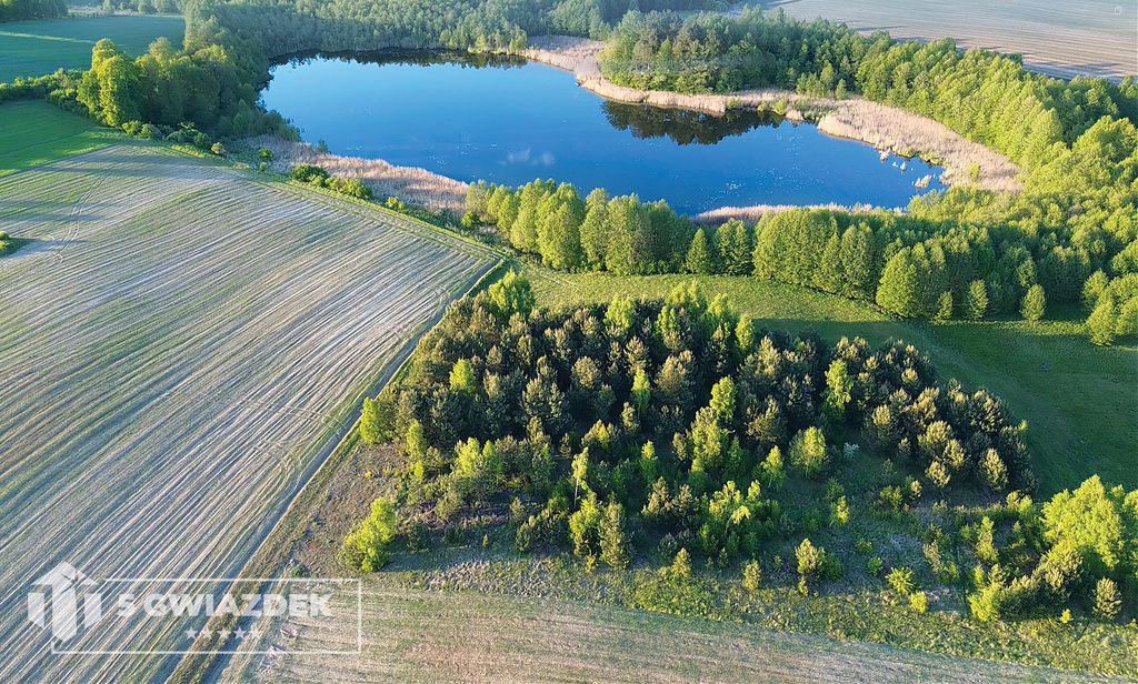 Działka budowlana Dziki. Zdjęcie 12