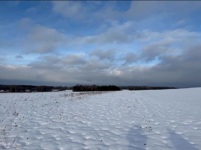 Działka rolno-budowlana Przewrotne. Zdjęcie 1