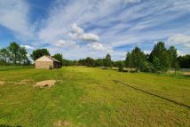 Działka rolno-budowlana Wysocko. Zdjęcie 1