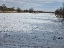 Działka rolna Wolica, Wolica. Zdjęcie 1