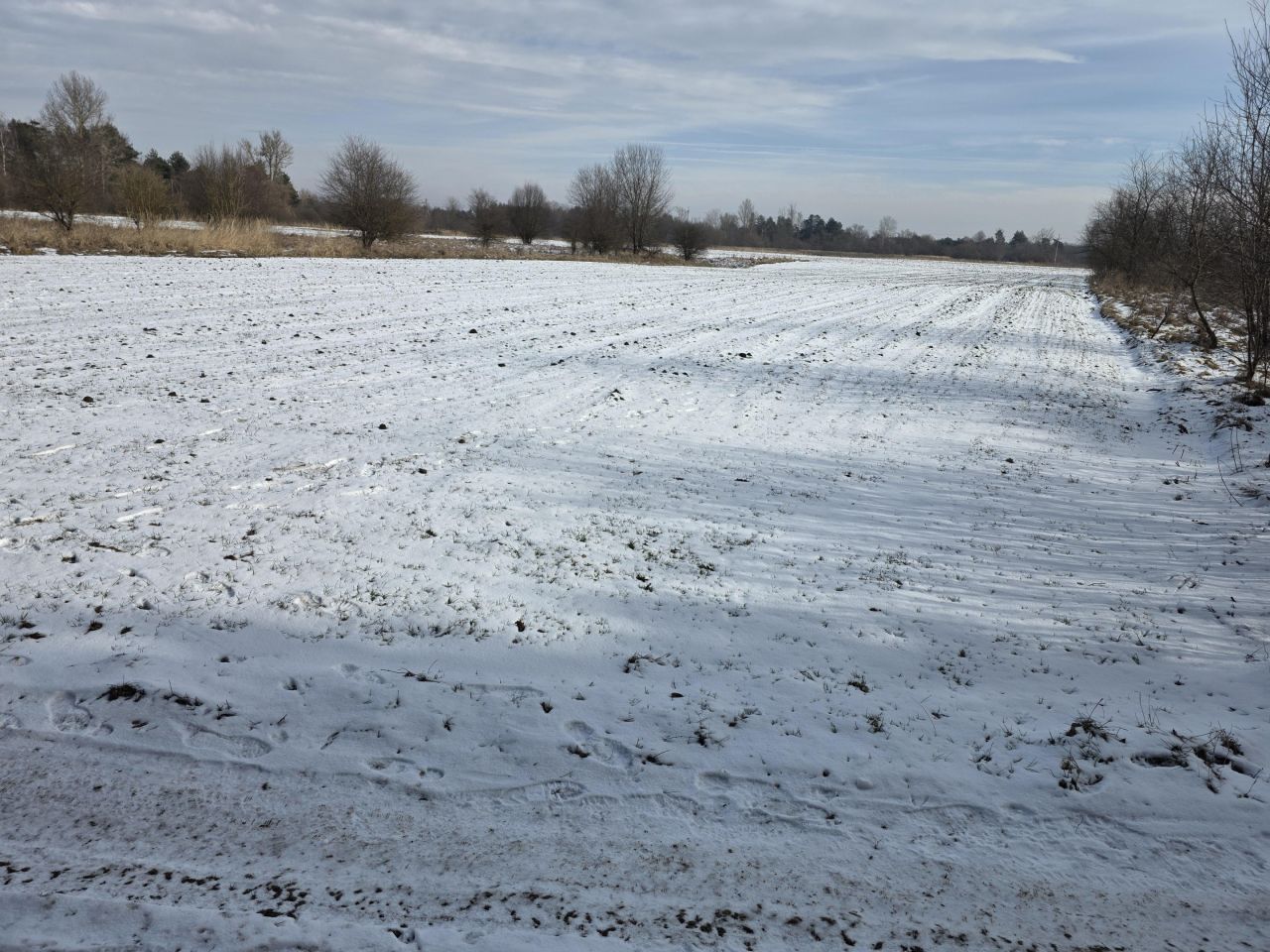 Działka rolna Wolica, Wolica. Zdjęcie 2