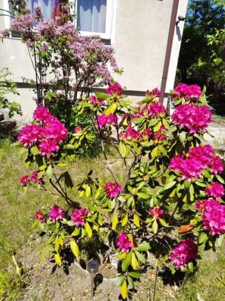 dom wolnostojący, 5 pokoi Józefów Michalin, ul. Sobieskiego. Zdjęcie 7