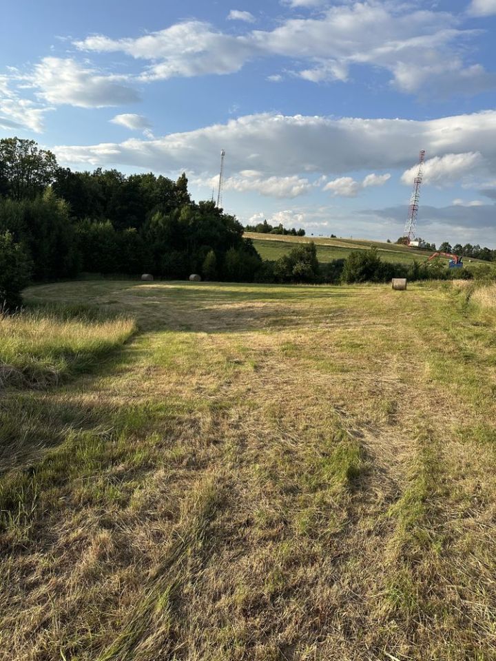 Działka rolna Dębowina. Zdjęcie 5