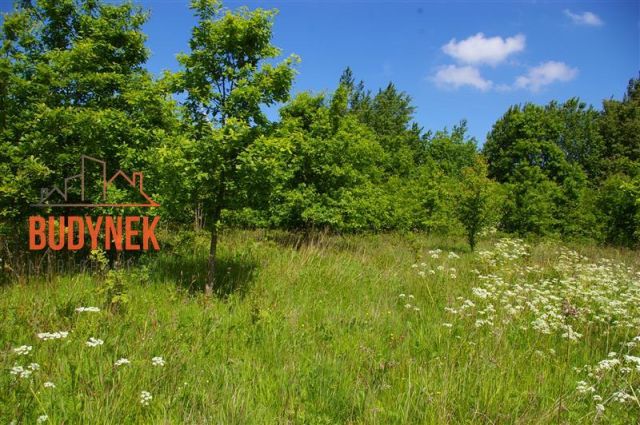 Działka siedliskowa Jeżyce. Zdjęcie 10
