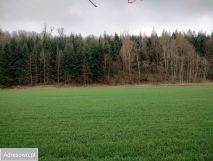 Działka budowlana Celiny, ul. Rajska. Zdjęcie 1