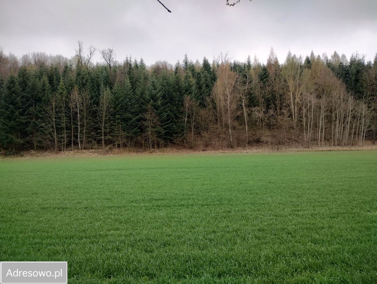 Działka budowlana Celiny, ul. Rajska. Zdjęcie 2
