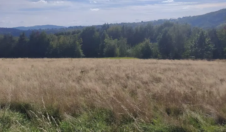 Działka budowlana Rożnów
