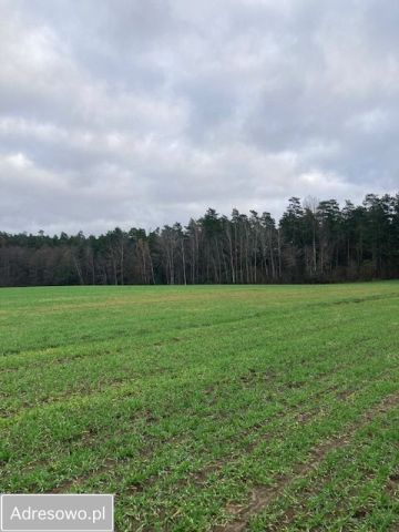 Działka rolno-budowlana Łękobudy. Zdjęcie 1