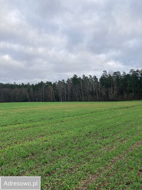 Działka rolno-budowlana Łękobudy. Zdjęcie 1
