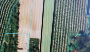 Działka rolno-budowlana Zarzeczewo