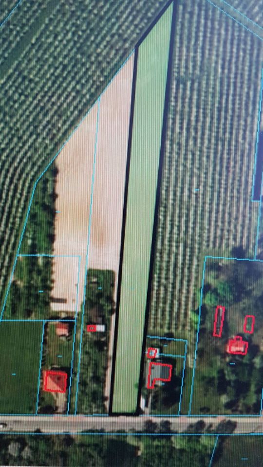 Działka rolna Zarzeczewo. Zdjęcie 2