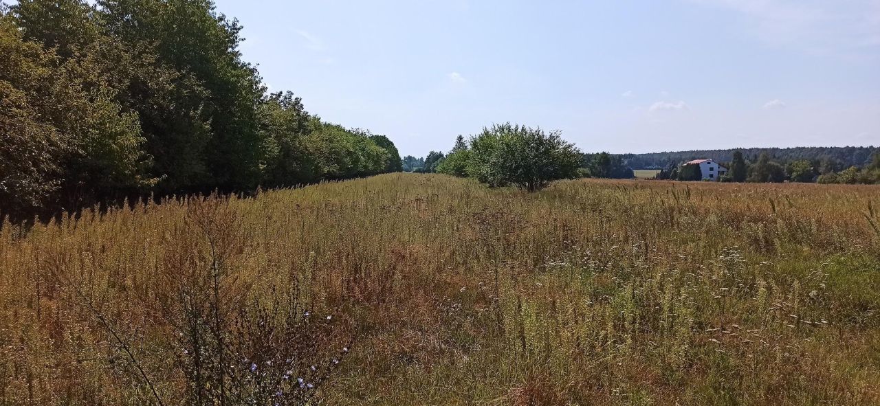 Działka budowlana Siemiatycze Annopol, ul. Stefana Żeromskiego. Zdjęcie 10