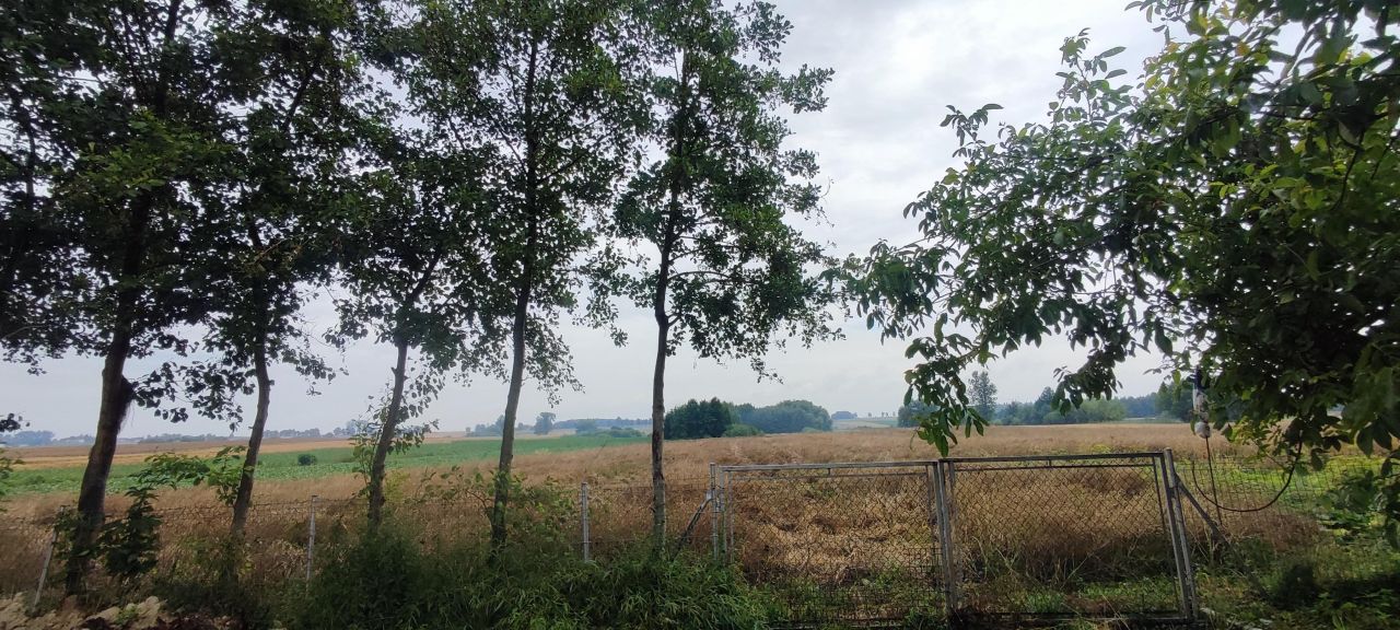 Działka rolno-budowlana Mircze, ul. Kryłowska. Zdjęcie 7