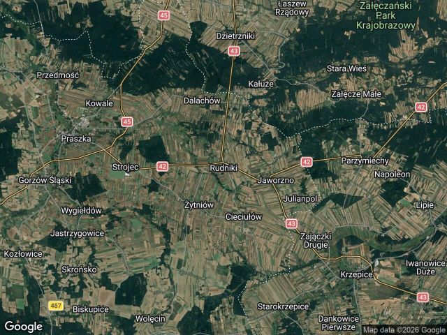 dom wolnostojący, 5 pokoi Rudniki. Zdjęcie 1