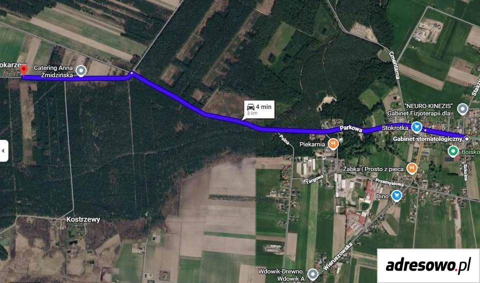 Działka rolna Kolonia Osiek. Zdjęcie 8