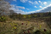 Działka rolno-budowlana Lipie. Zdjęcie 2