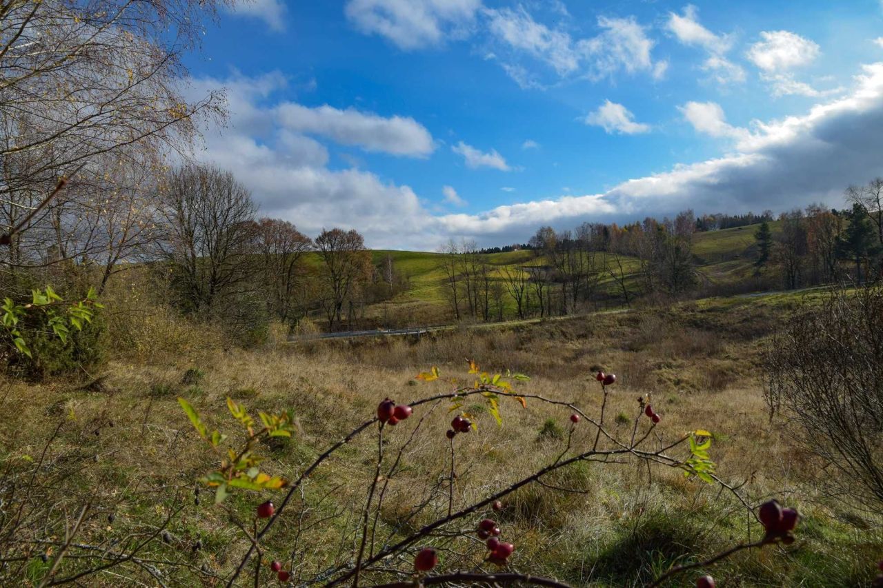 Działka rolno-budowlana Lipie. Zdjęcie 3