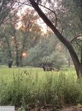 Działka rekreacyjna Warszawa Wawer, ul. Wał Miedzeszyński. Zdjęcie 3