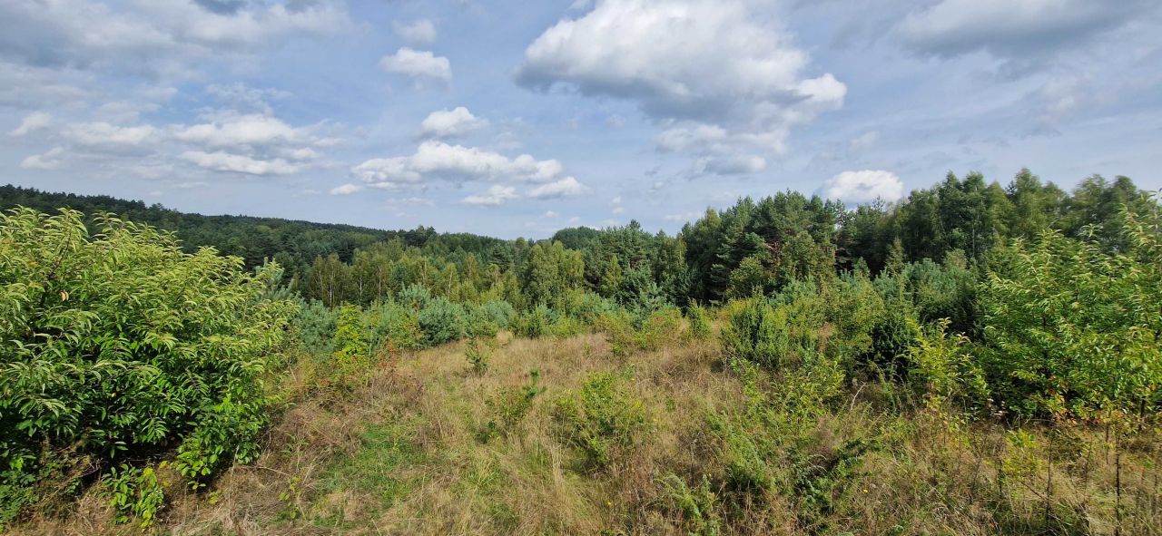 Działka budowlana Stara Huta. Zdjęcie 5