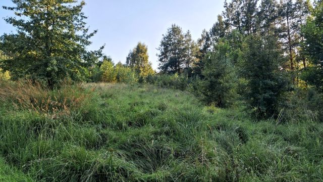 Działka rekreacyjna Kręsk, ul. Zofii. Zdjęcie 10