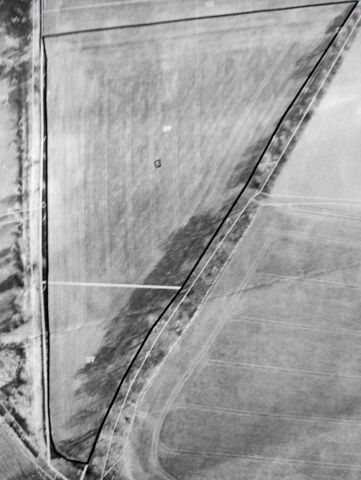 Działka rolna Niemodlin. Zdjęcie 1