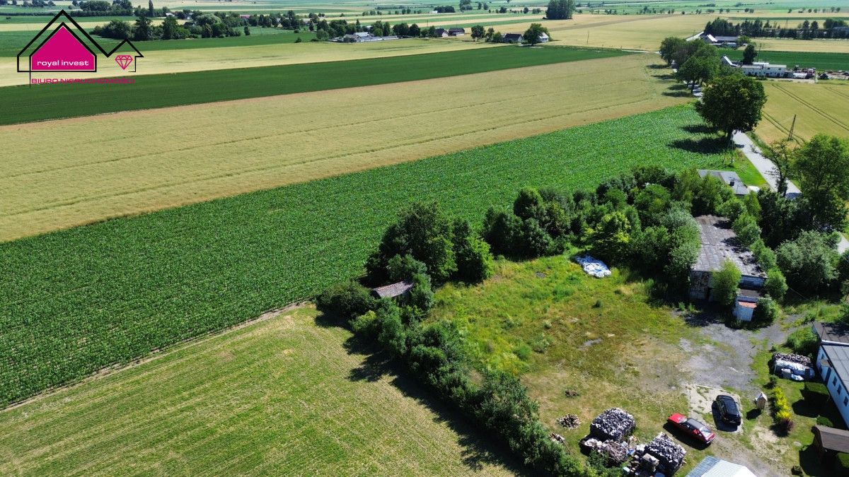 Lokal Strzelno Klasztorne. Zdjęcie 3