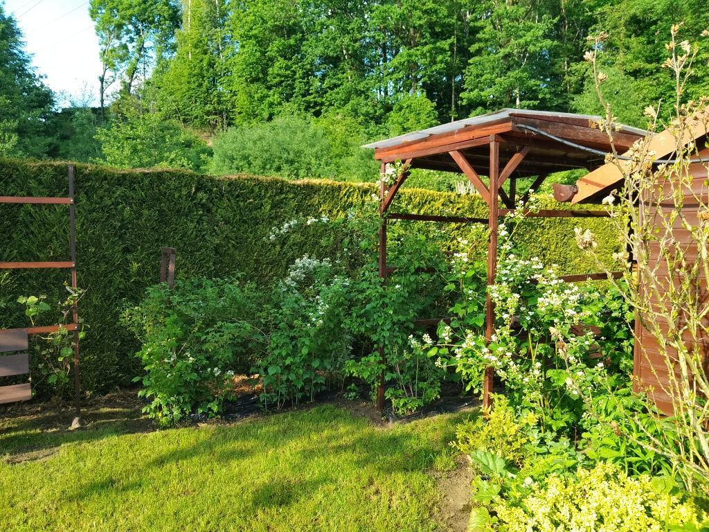 Działka rod Kęty. Zdjęcie 1
