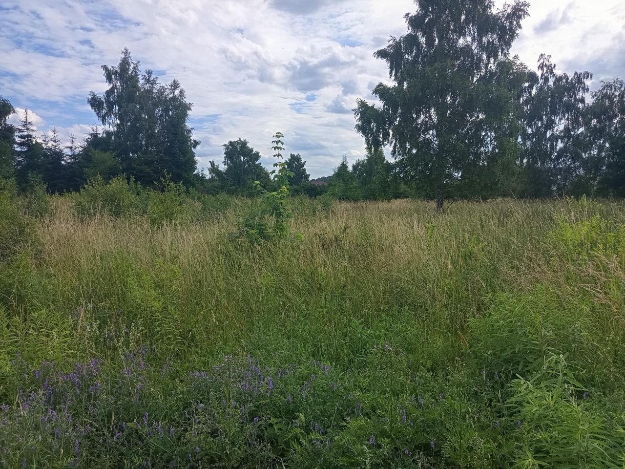 Działka budowlana Niekłonice, ul. Morelowa. Zdjęcie 4