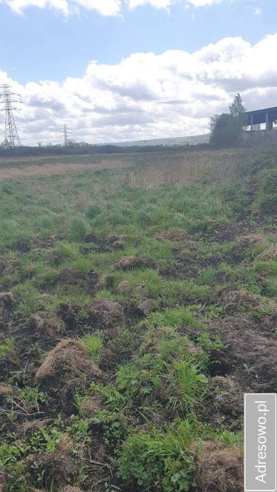 Działka inwestycyjna Reda, ul. Łąkowa. Zdjęcie 3