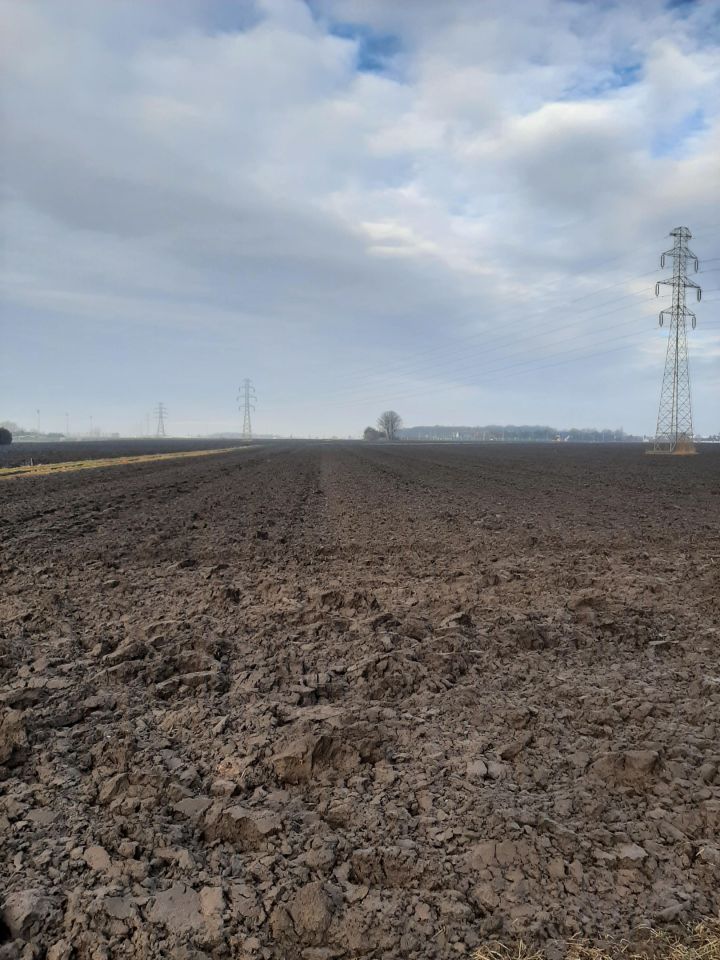 Działka siedliskowa Żerniki Wrocławskie, ul. Poziomkowa. Zdjęcie 2