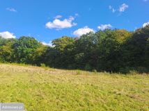 Działka budowlana Pępowo. Zdjęcie 2