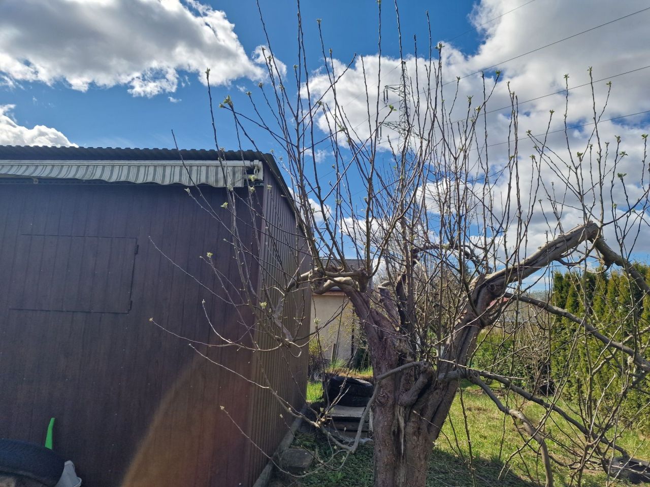 Działka rod Szczecin Bukowo, ul. Nad Stołczynką. Zdjęcie 8